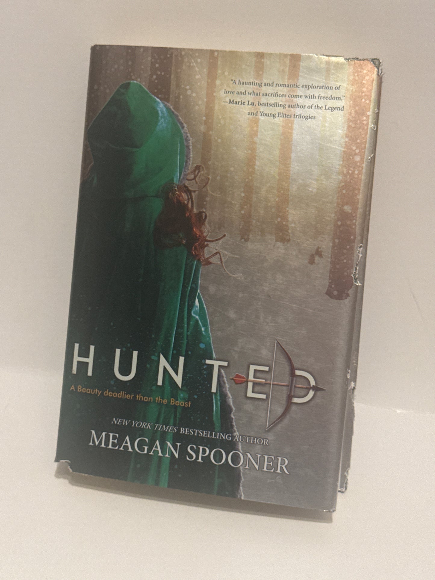 Hunted: A Thrilling Tale of Survival and Mystery