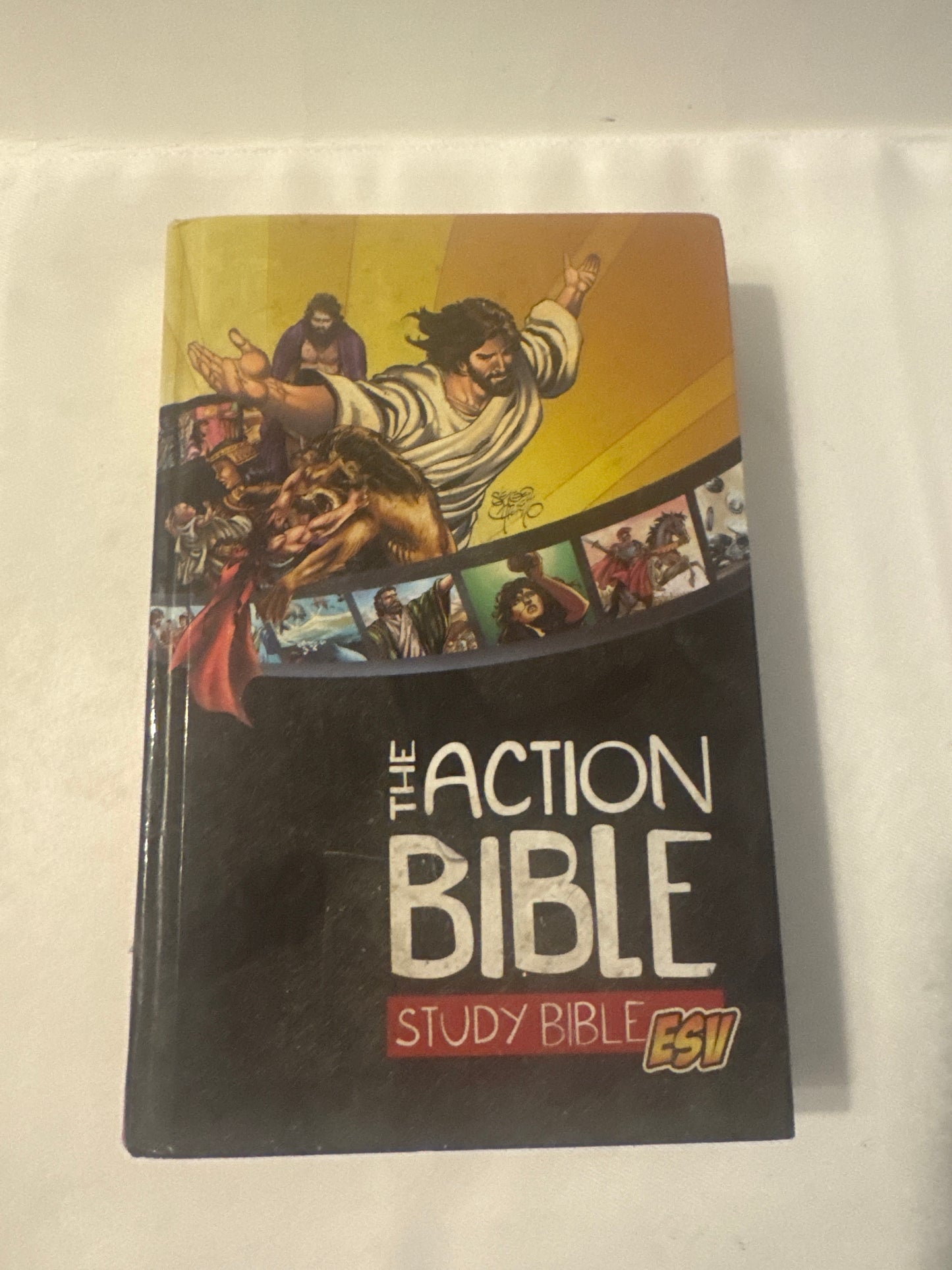 The action Bible study Bible ESV 