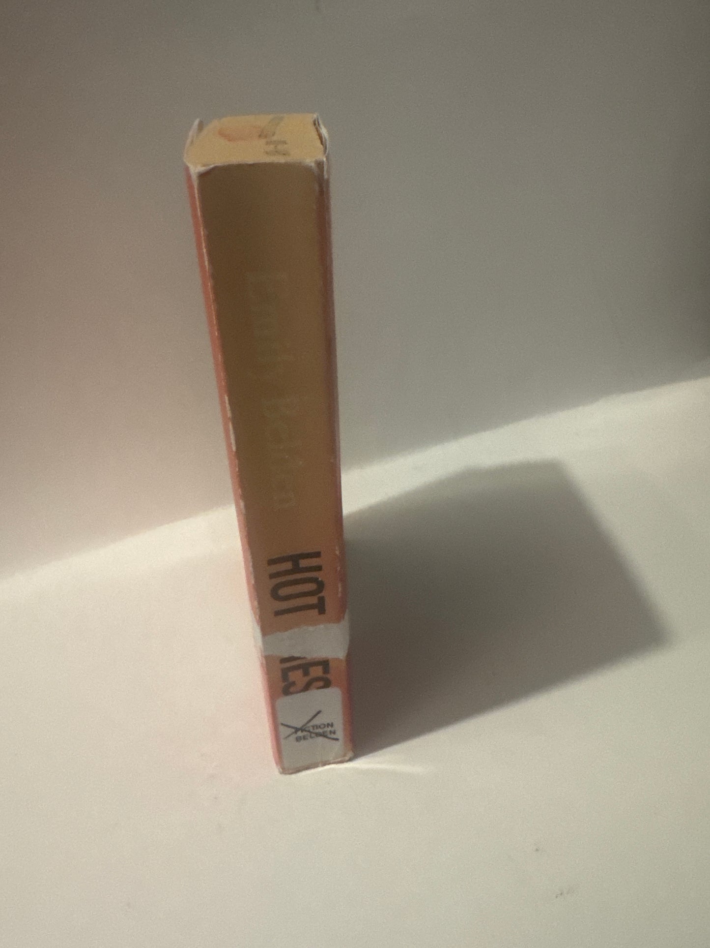 Hot Mess Book – Emily Belden Contemporary Fiction