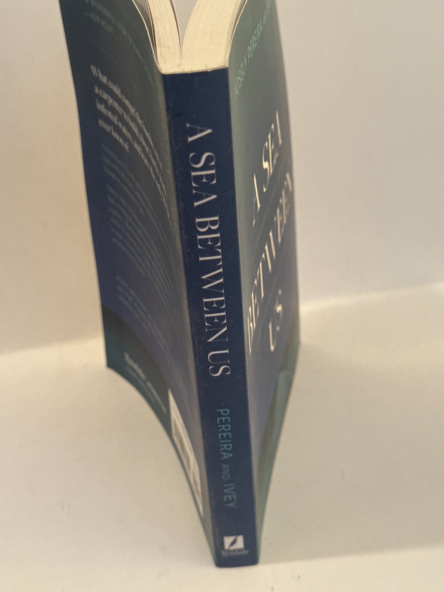 A Sea Between Us – True Story of Love, Faith & Survival