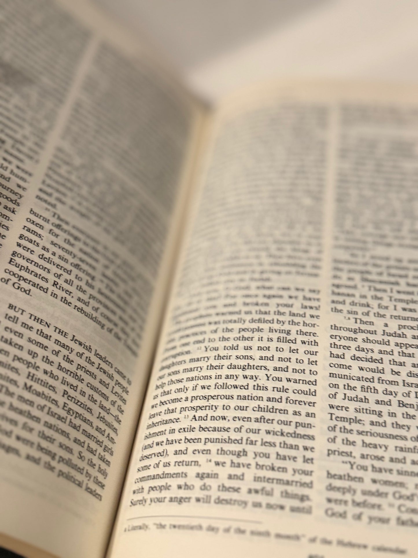 The Living Bible: Paraphrased Edition with Gold Emblem