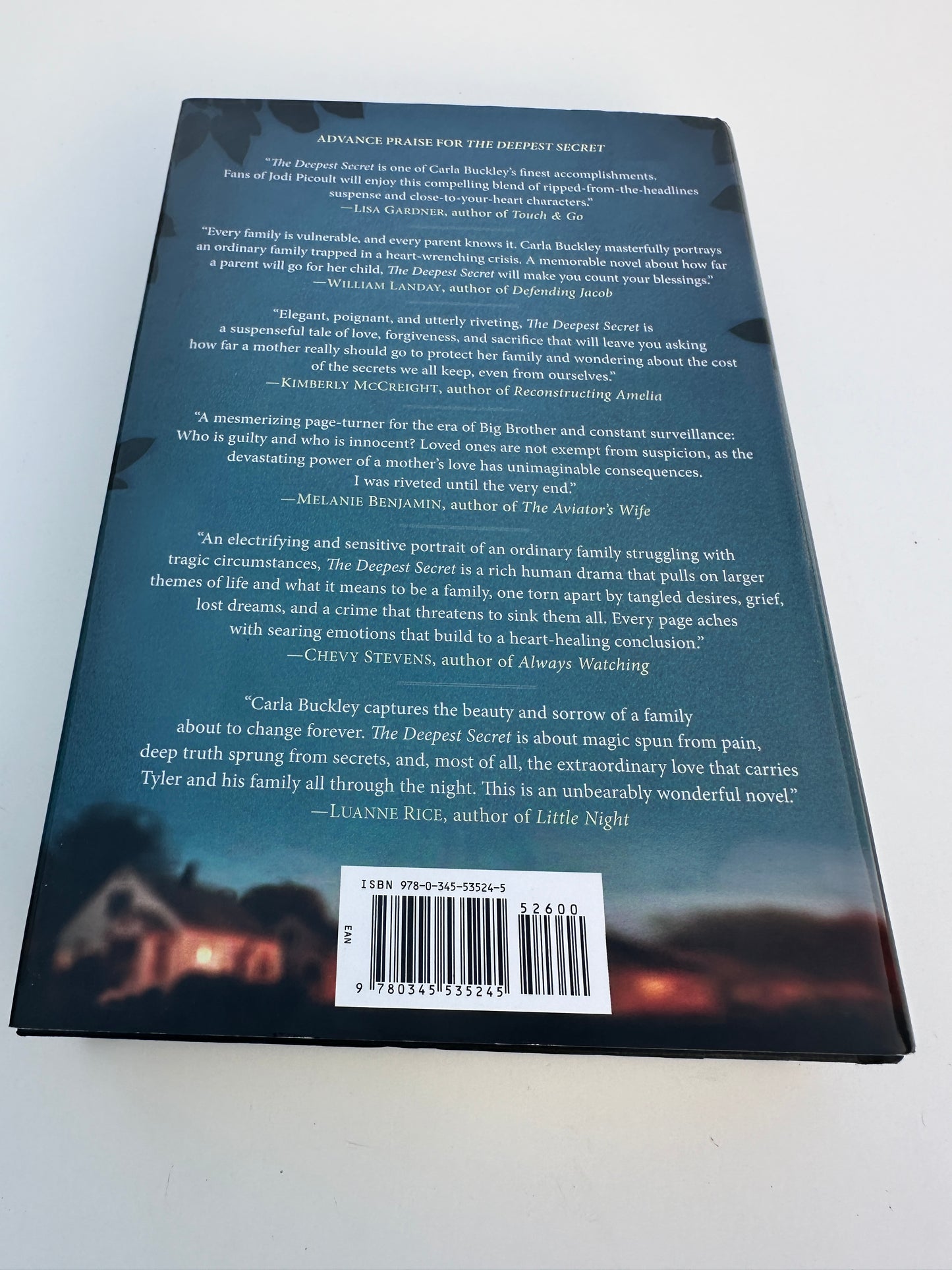 Back cover of The Deepest Secret novel by EveryMailBox showing blurbs and barcode