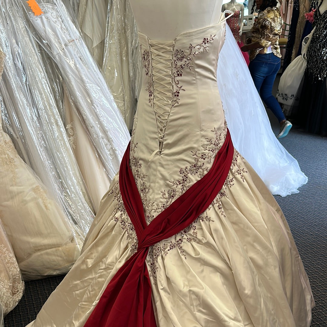 Sophia tolli