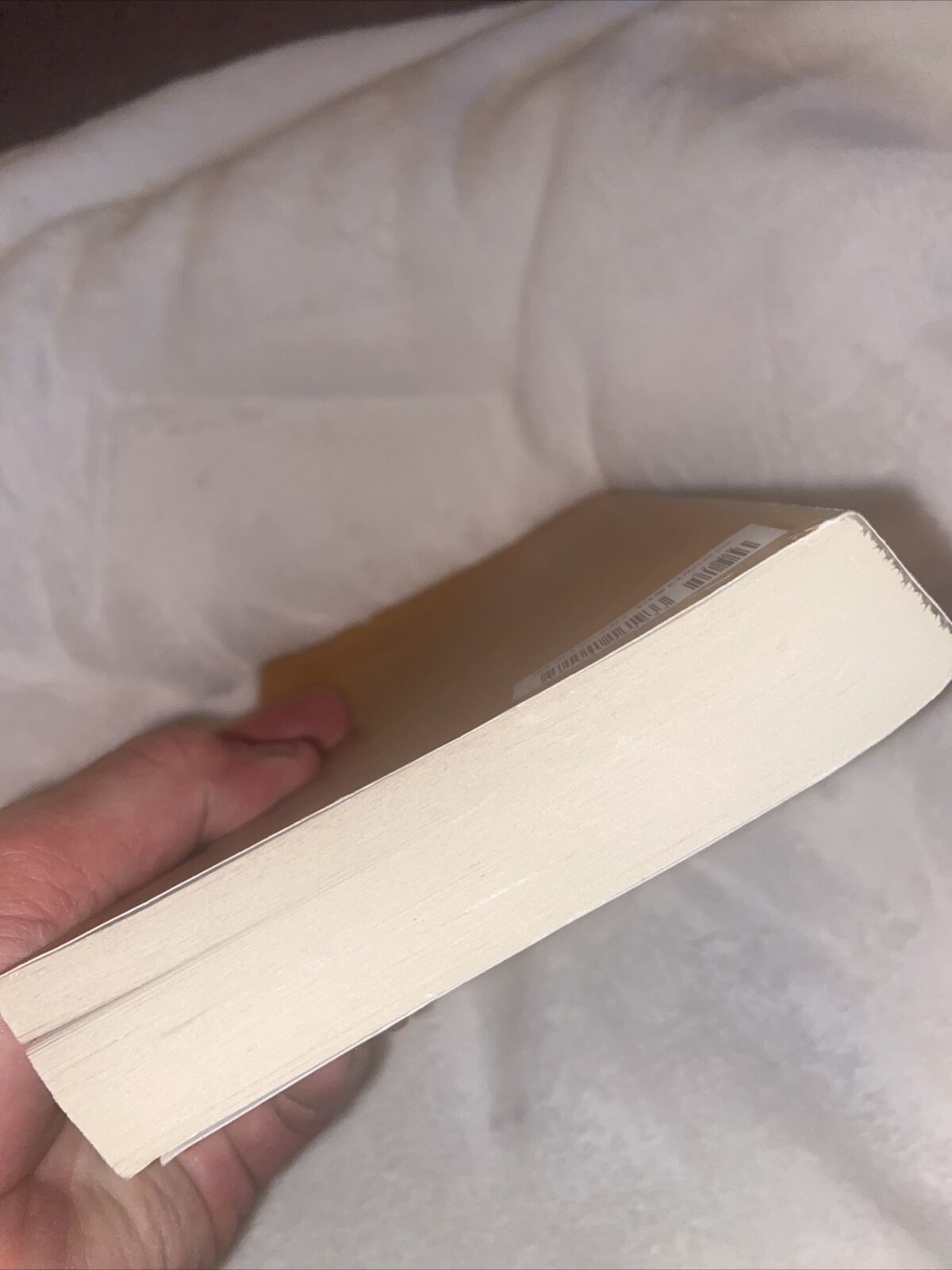 The Seven Husbands of Evelyn Hugo: A Novel