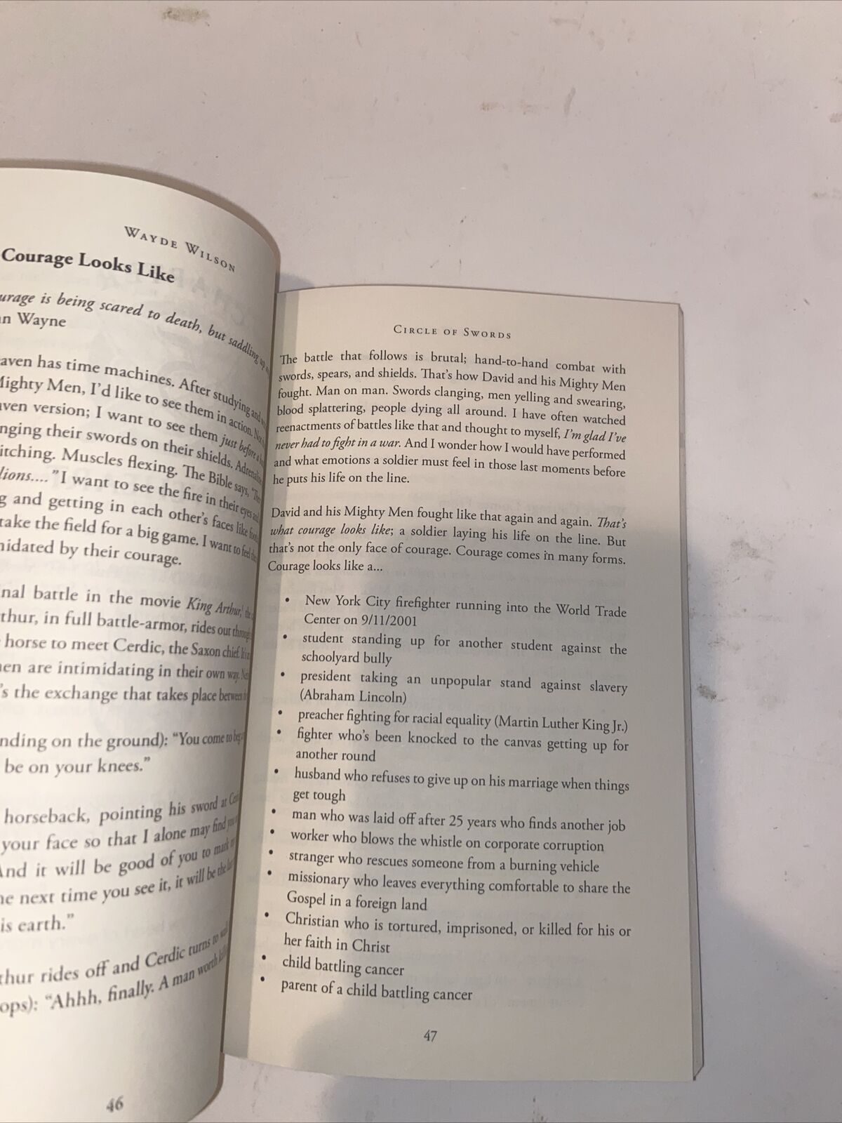 CIRCLE OF SWORDS Wayde Wilson Paperback