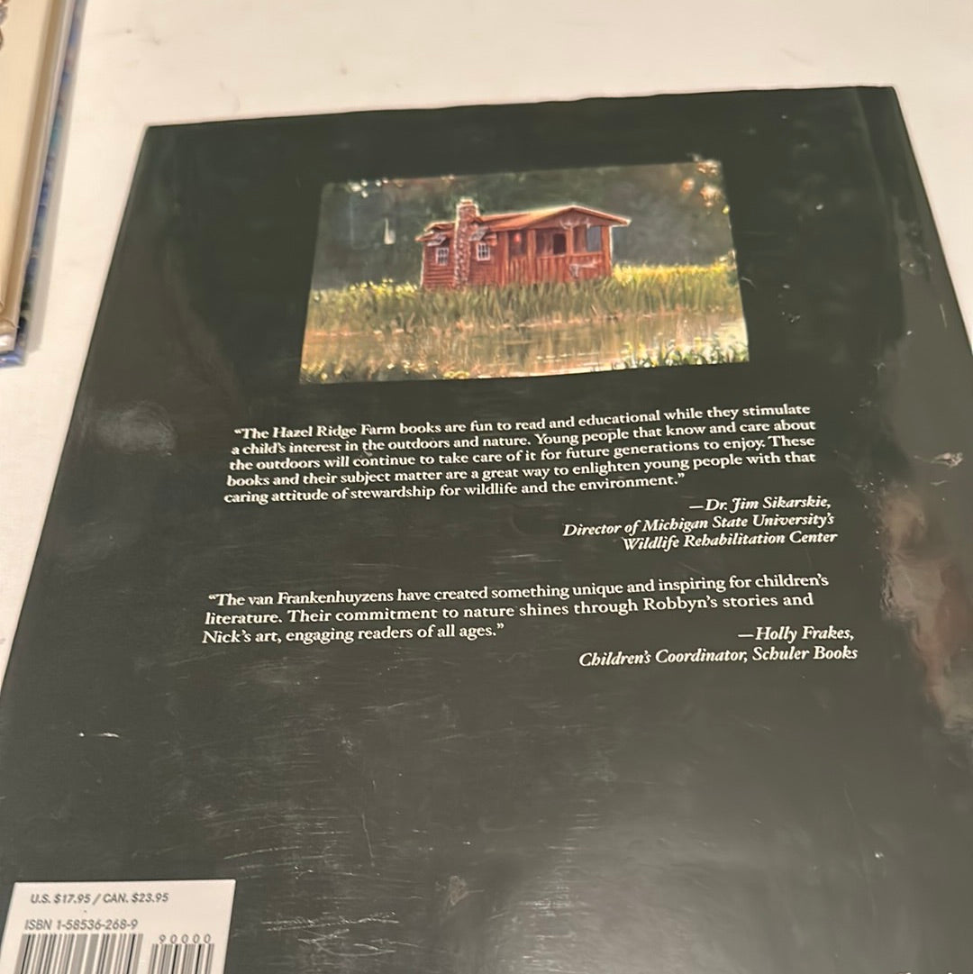 Back cover of Kelly of Hazel Ridge book by EveryMailBox featuring a cabin image and reader testimonials