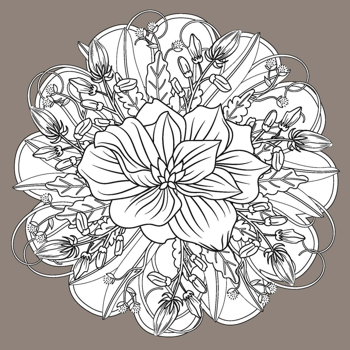 Intricate black and white floral mandala design from EveryMailBox adult flower coloring book