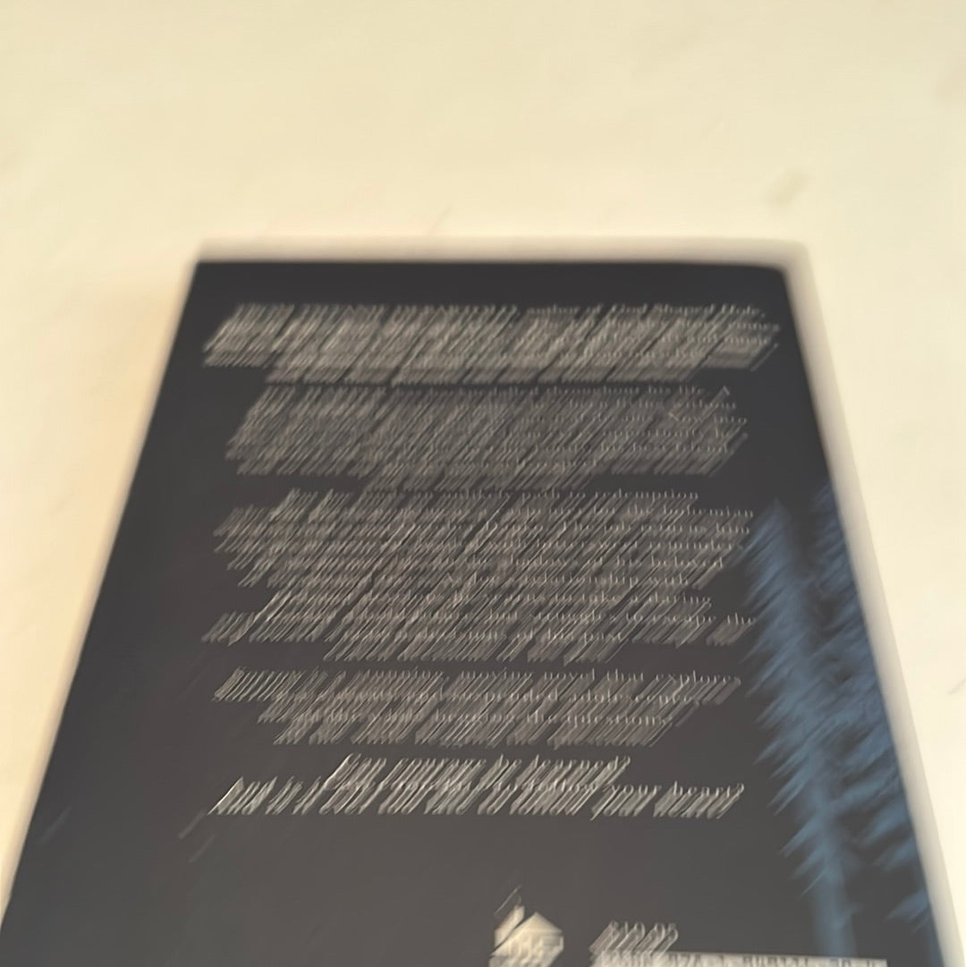 Blurry image of the back cover of the Sorrow Tiffanie DeBartolo novel with text and design details