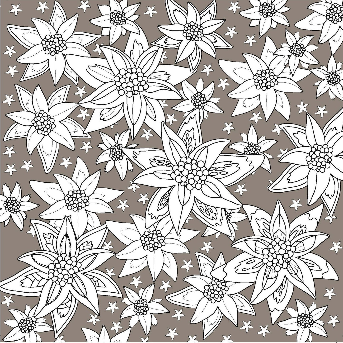 Black and white floral pattern page from an adult flower coloring book by EveryMailBox