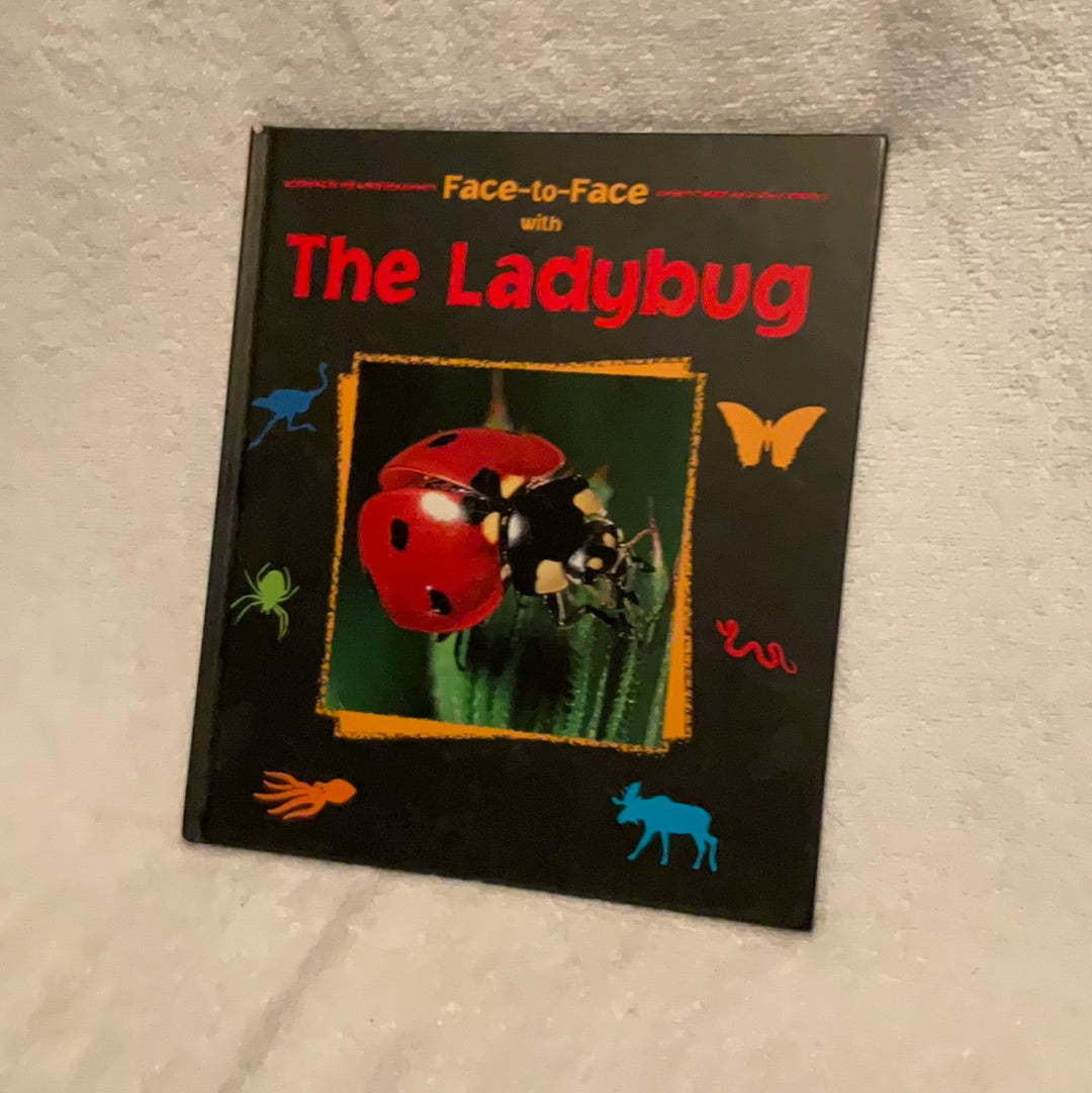 Exploring Ladybugs: A Visual Encounter