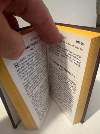 Lives of the Saints II – Illustrated Catholic Book