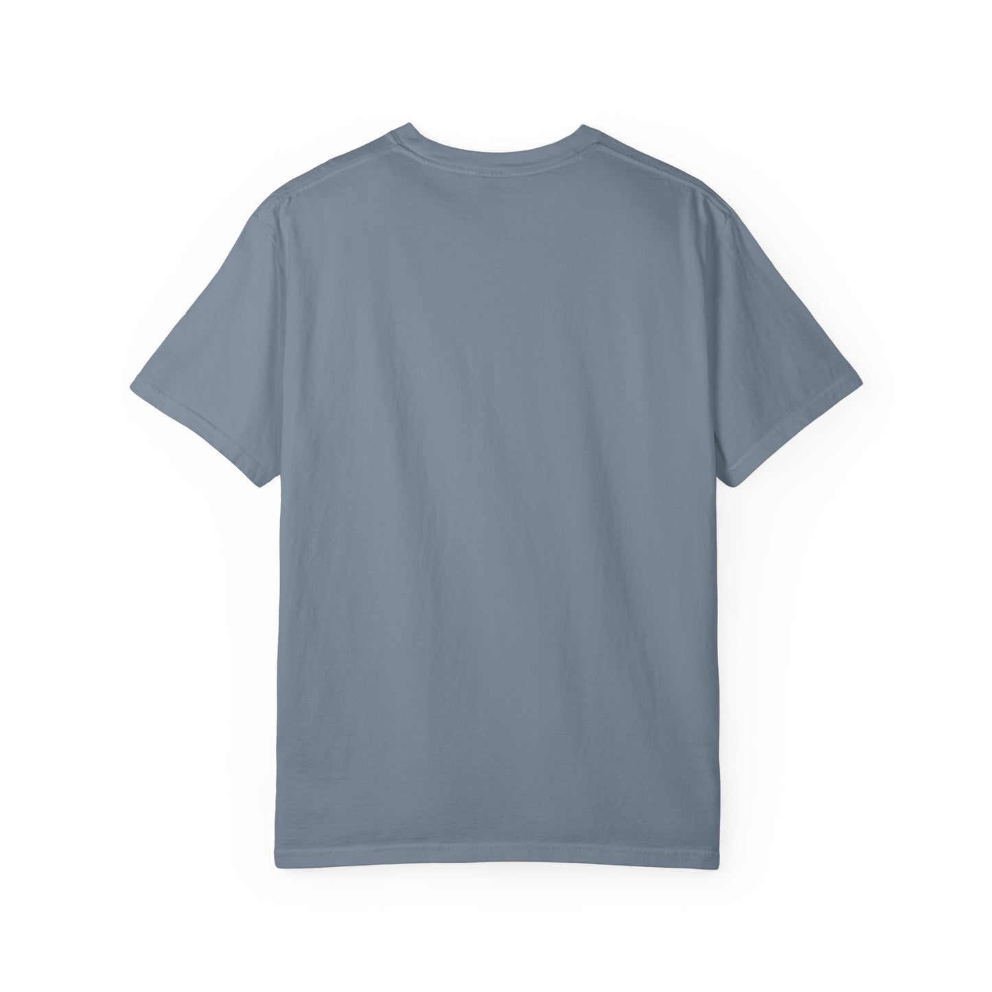 Otter 'Be Kind to Your Mind' Comfort T-Shirt – Mental Health Graphic Tee
