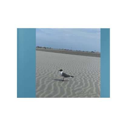 Hardcover Photo Book – Coastal Seagull Beach Memory Album