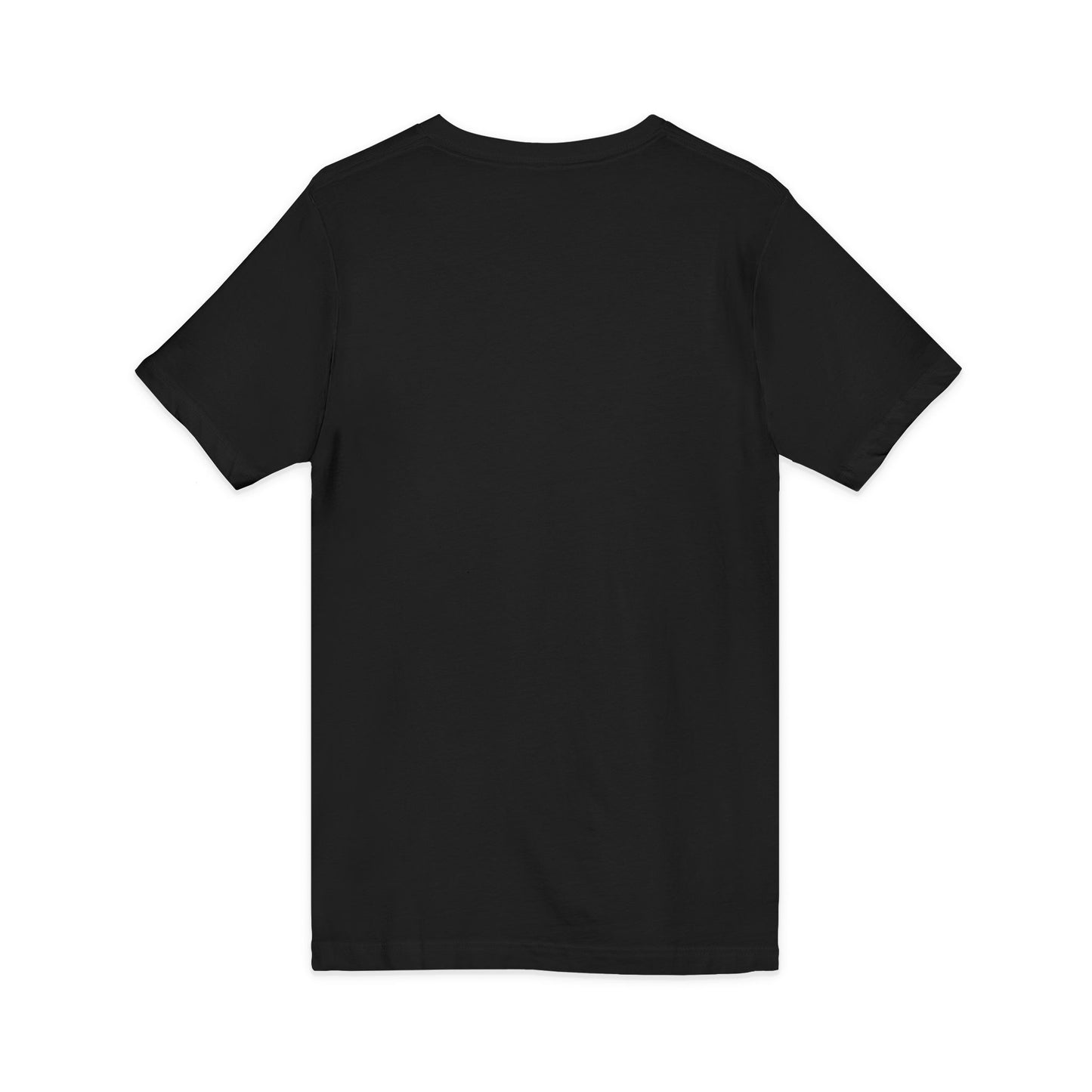 Unisex Jersey V-Neck Tee Subscription