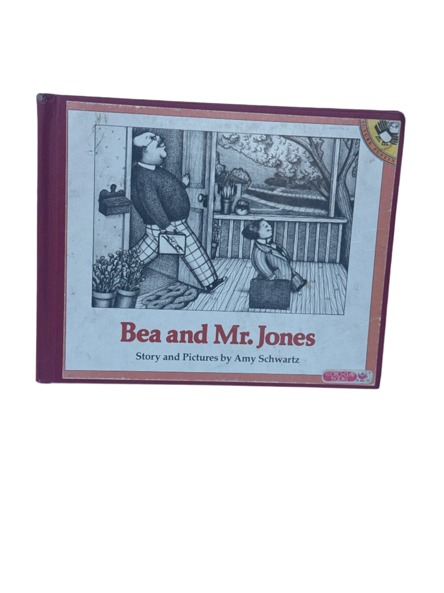 Bea and Mr. Jones by Amy Schwartz