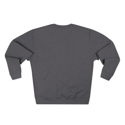 Funny Raccoon Sweatshirt — 'I Had a Plan' Graphic Crewneck