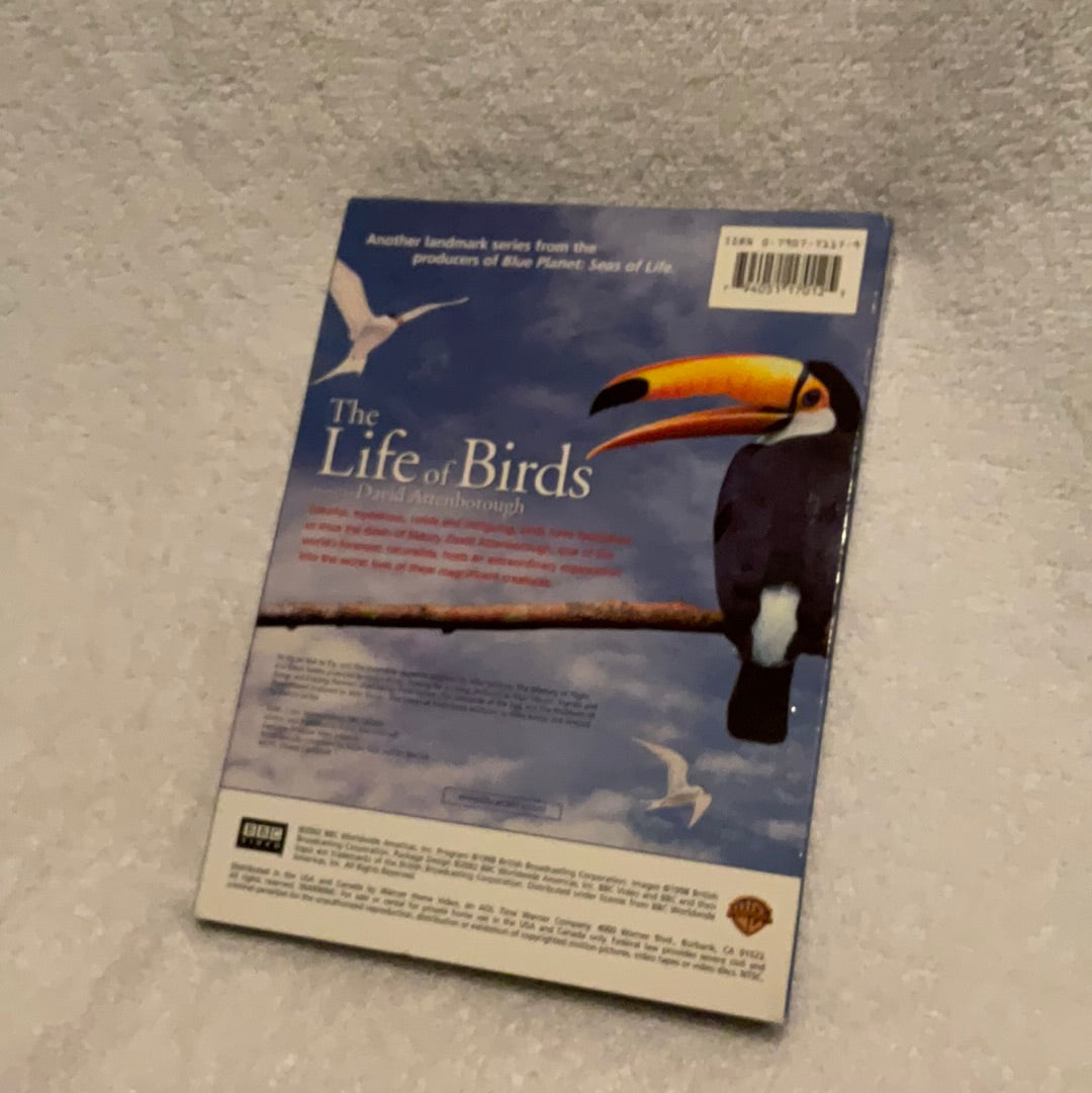 Exploring Avian Wonders: The Life of Birds DVD