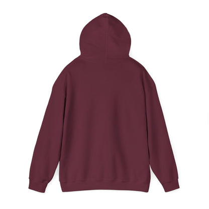 Squirrel Courier Hoodie – Cute Delivery Squirrel Holding Package & Receipt