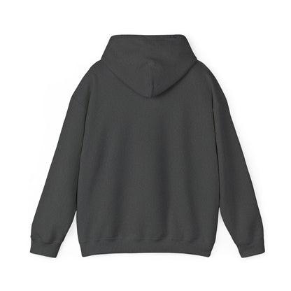 Squirrel Courier Hoodie – Cute Delivery Squirrel Holding Package & Receipt