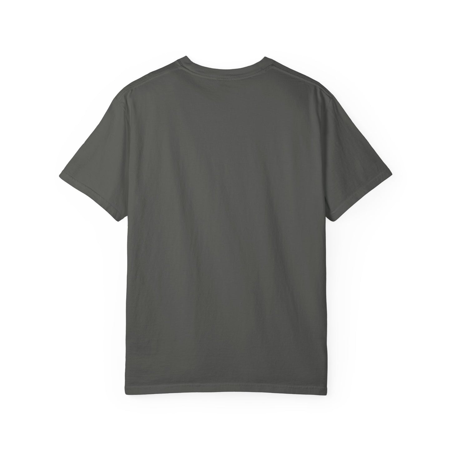 Otter 'Be Kind to Your Mind' Comfort T-Shirt – Mental Health Graphic Tee
