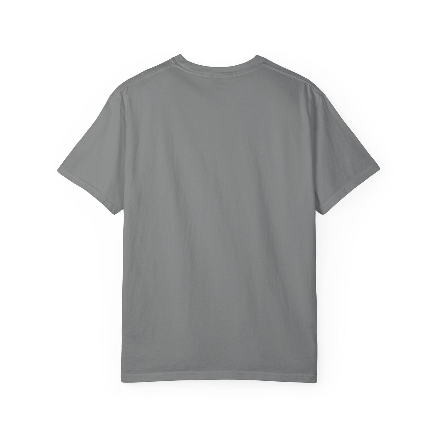 Otter 'Be Kind to Your Mind' Comfort T-Shirt – Mental Health Graphic Tee