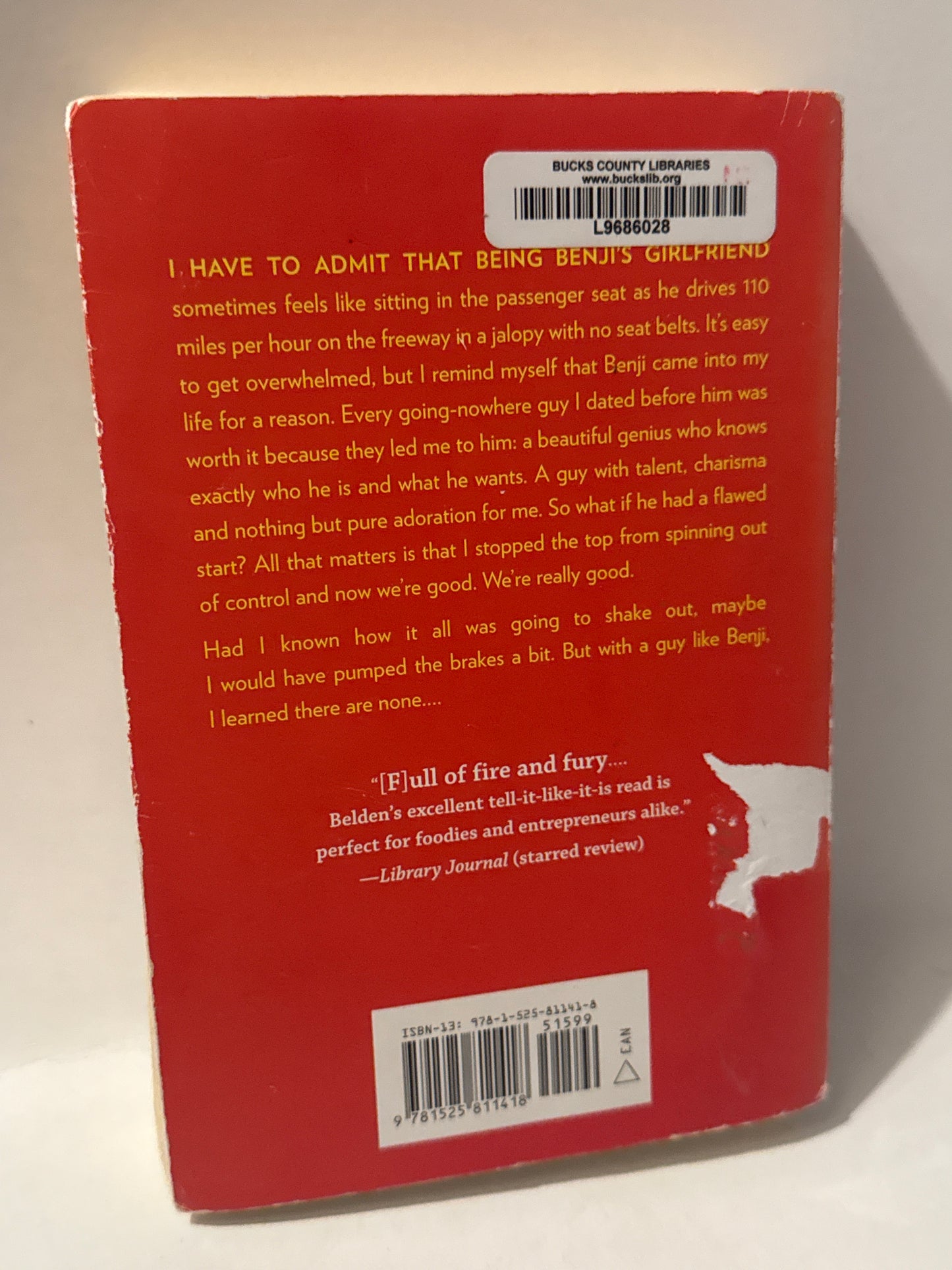 Hot Mess Book – Emily Belden Contemporary Fiction