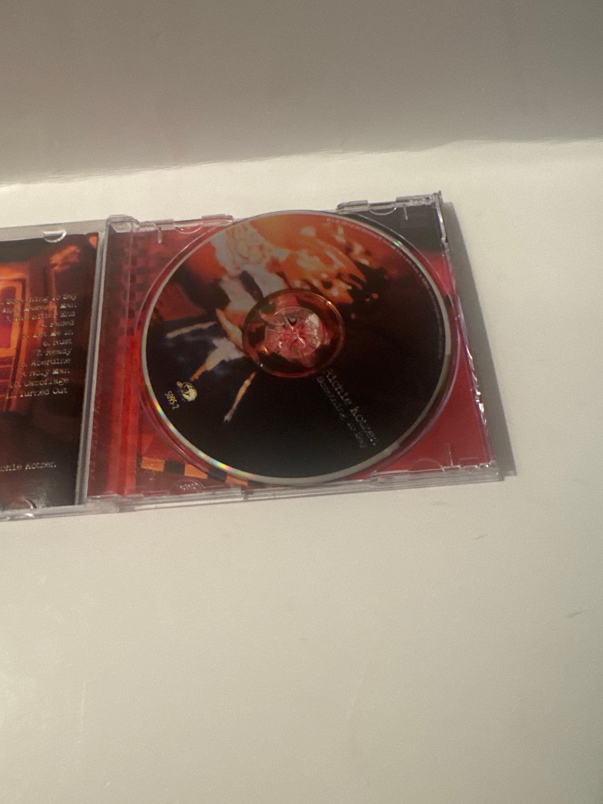 Ritchie kotzen something to say
