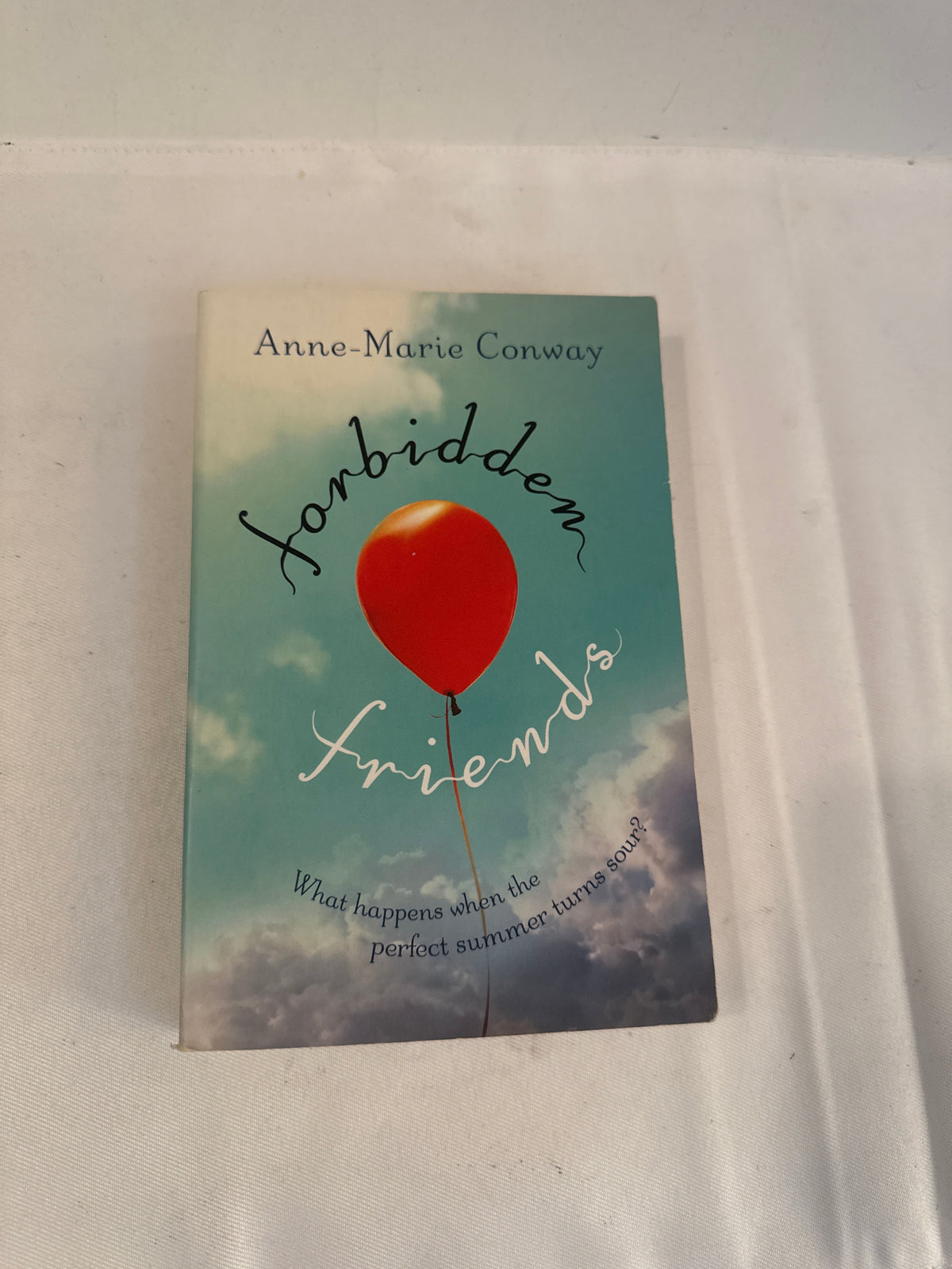 Forbidden Friends by Anne-Marie Conway