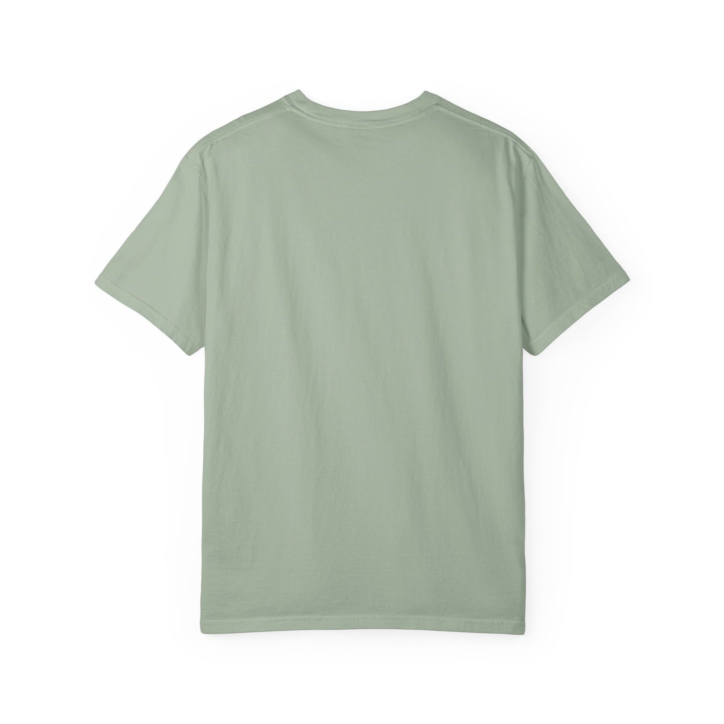 Otter 'Be Kind to Your Mind' Comfort T-Shirt – Mental Health Graphic Tee