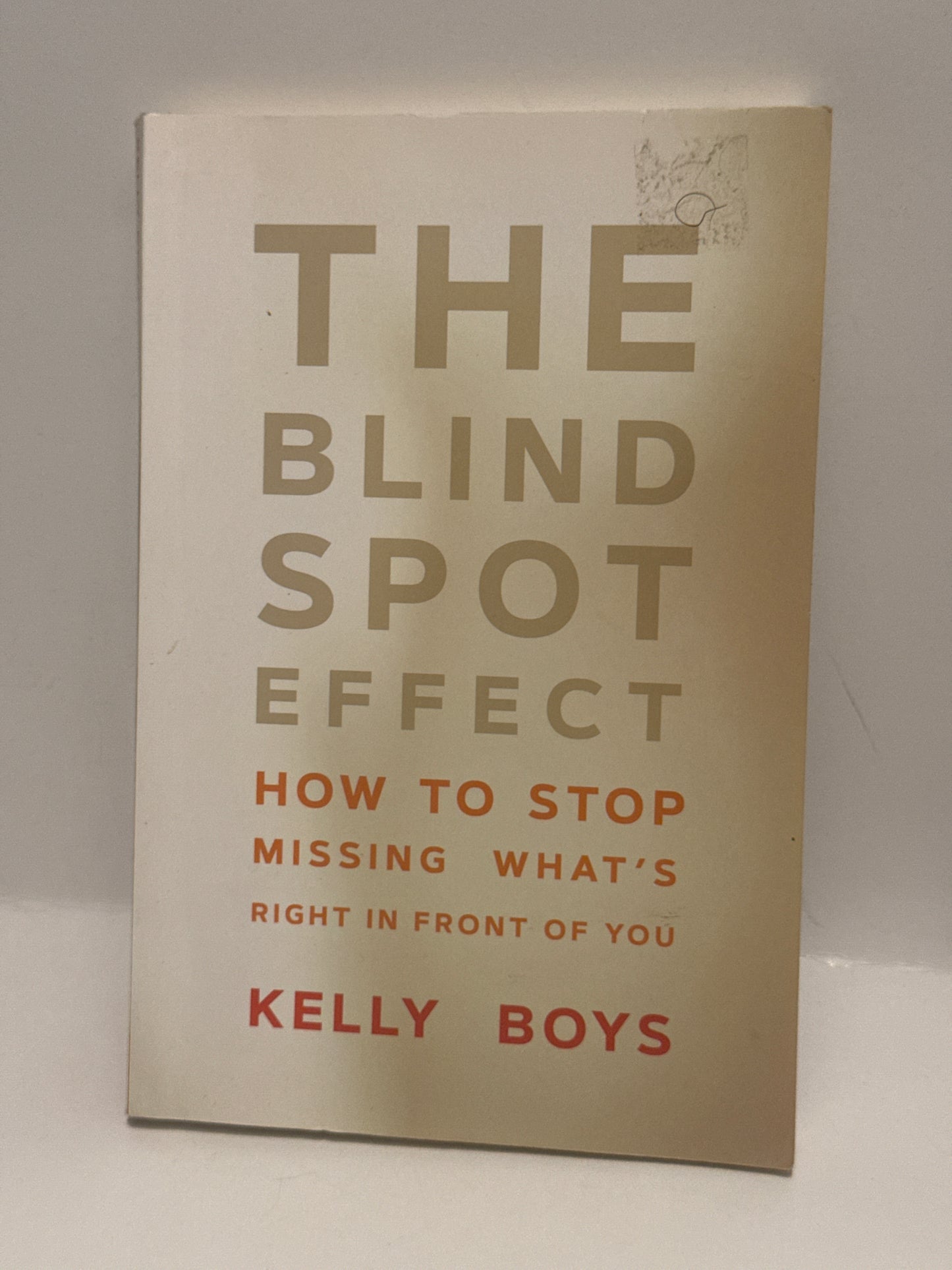 The Blind Spot Effect: How to See What You're Missing