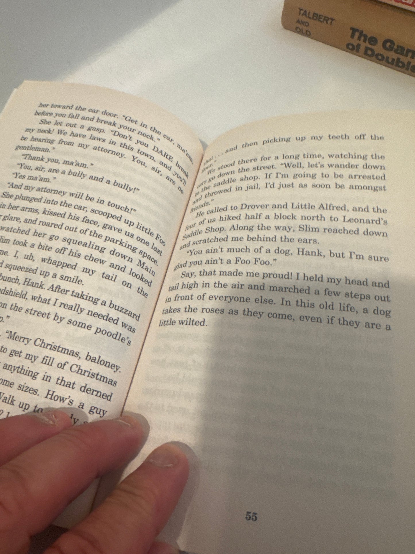 Hank the Cowdog #13: Wounded Buzzard Christmas Tale