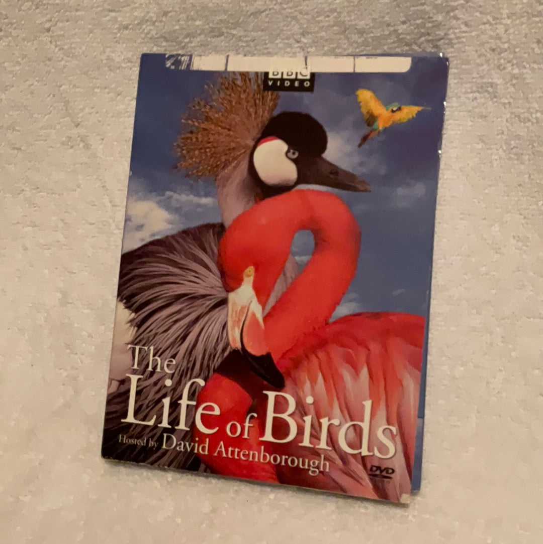 Exploring Avian Wonders: The Life of Birds DVD