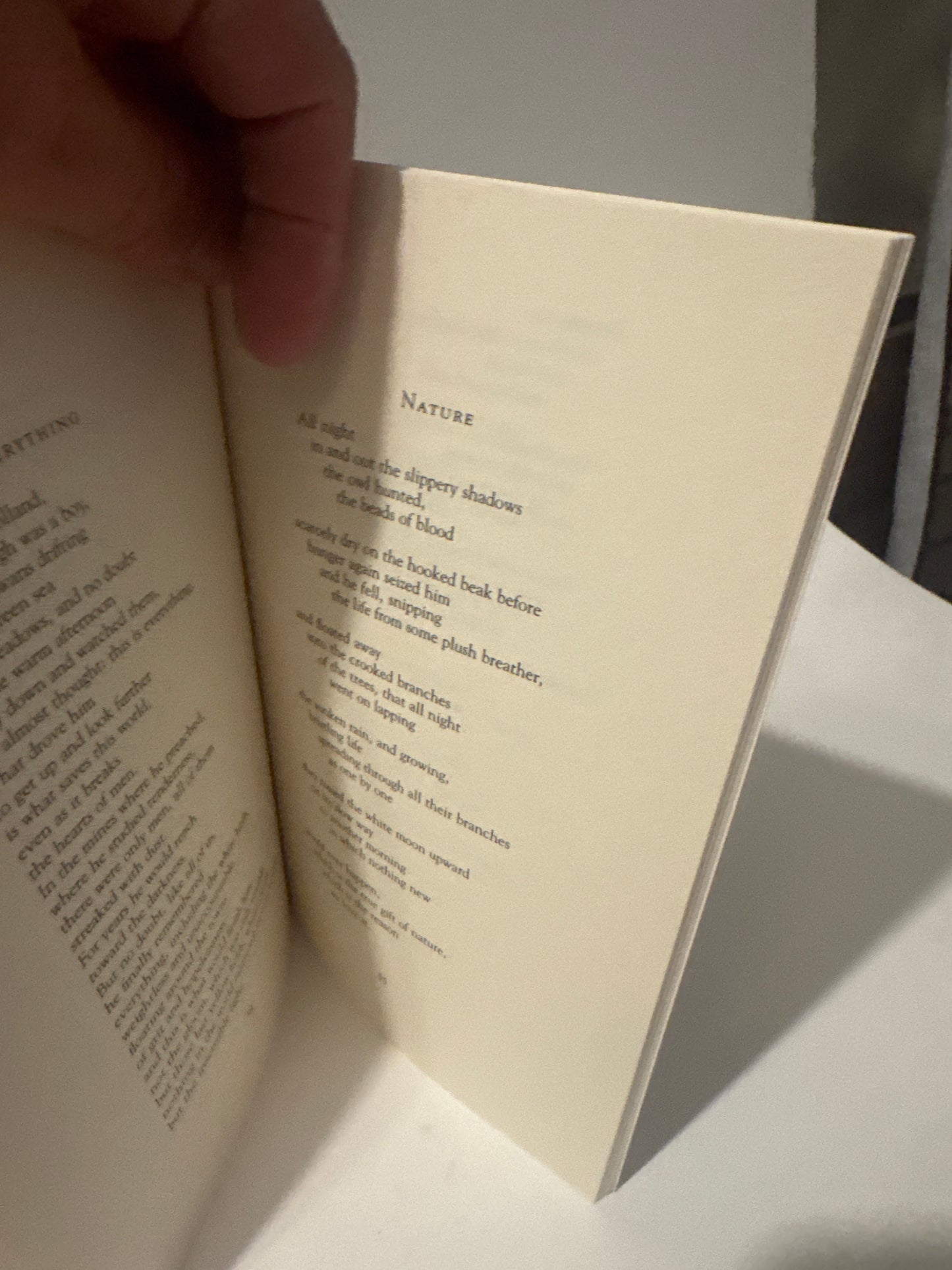House of Light stacked with other poetry books including works by Rumi and Emily Dickinson