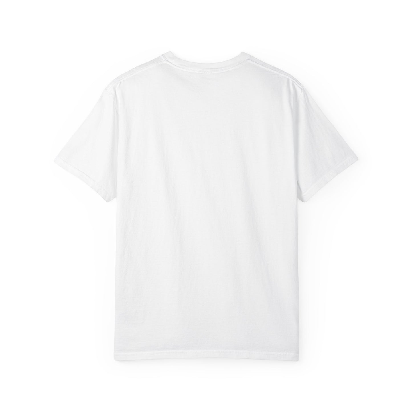 Otter 'Be Kind to Your Mind' Comfort T-Shirt – Mental Health Graphic Tee