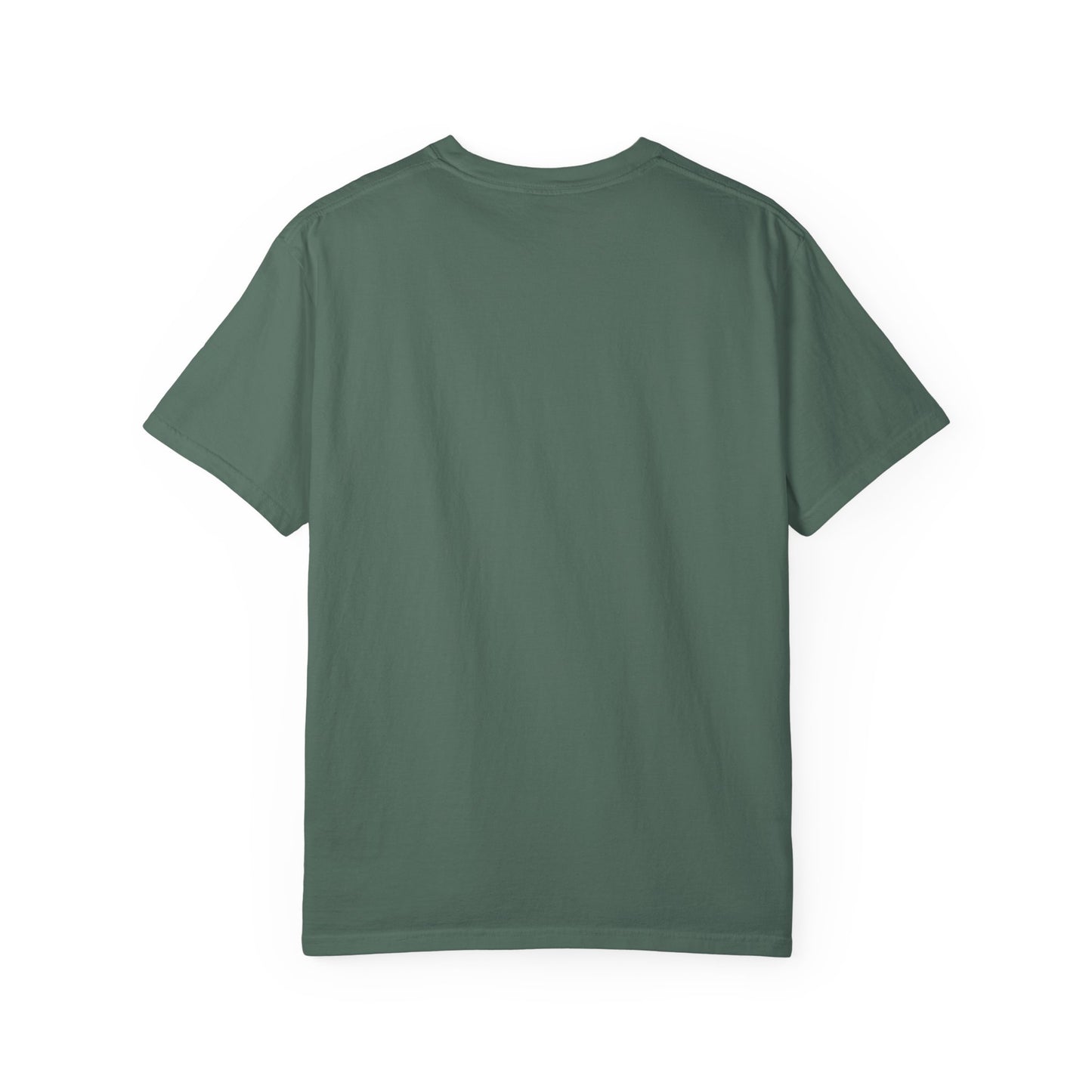 Otter 'Be Kind to Your Mind' Comfort T-Shirt – Mental Health Graphic Tee