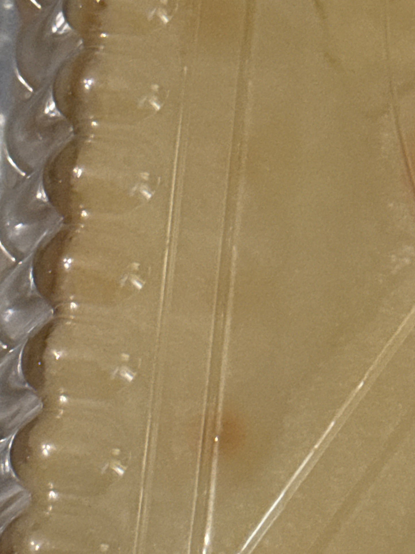 Gooey Butter Cake — Fresh Baked, Sealed & Ships Nationwide