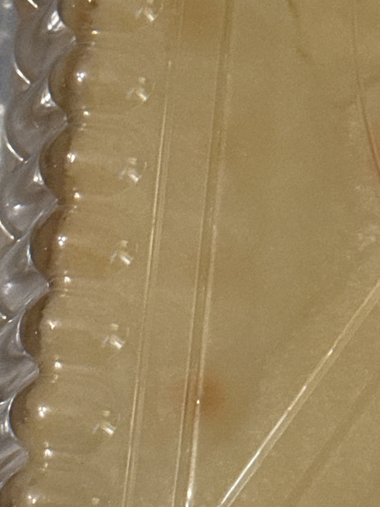Philly Gooey Butter Cake — Sealed Fresh, Fast Delivery