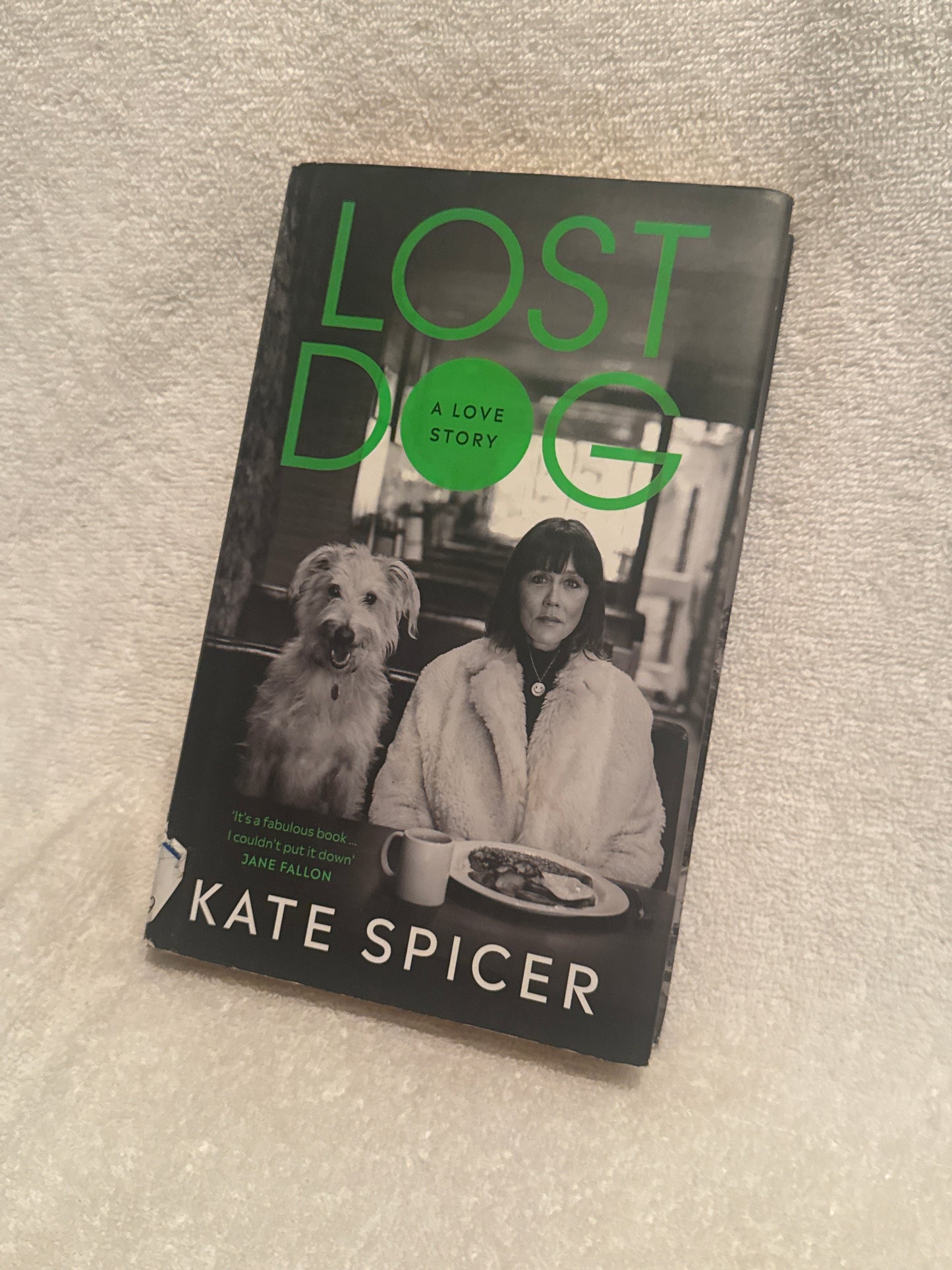 Lost Dog: A Love Story by Kate Spicer - Heartfelt Memoir