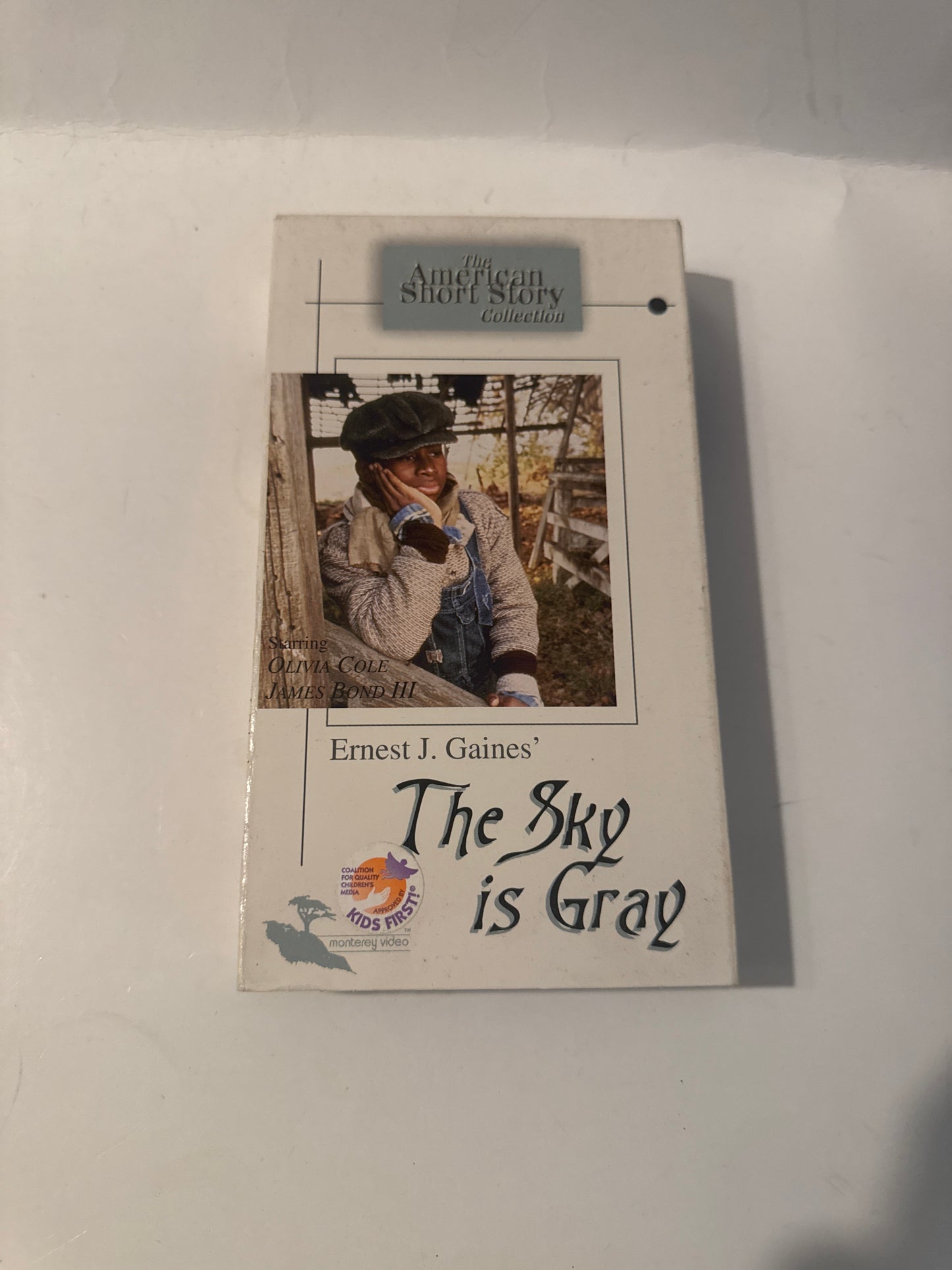 The sky is Gray VHS