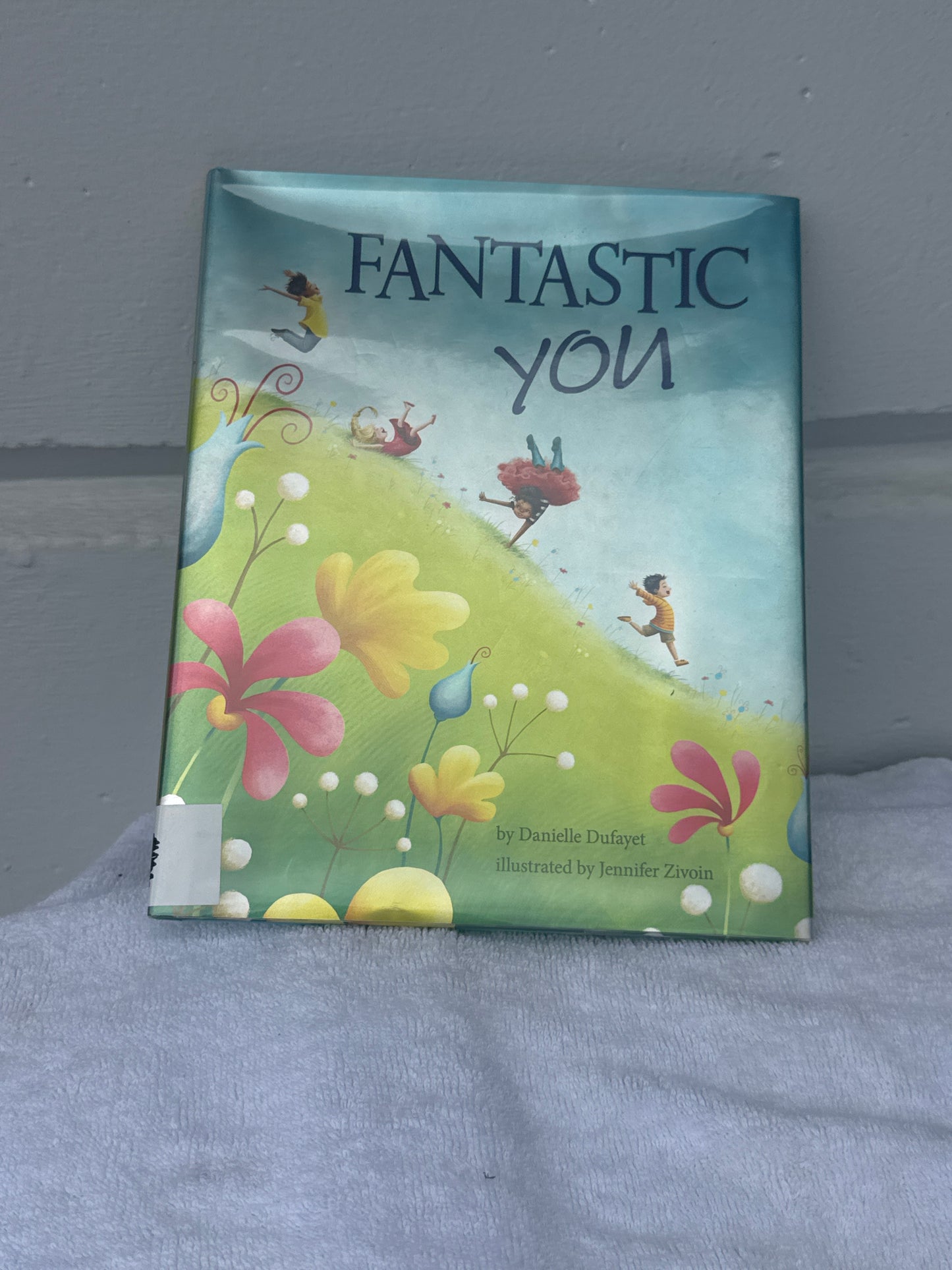 Fantastic You [Hardcover] Dufayet, Danielle and Zivoin, Jennifer