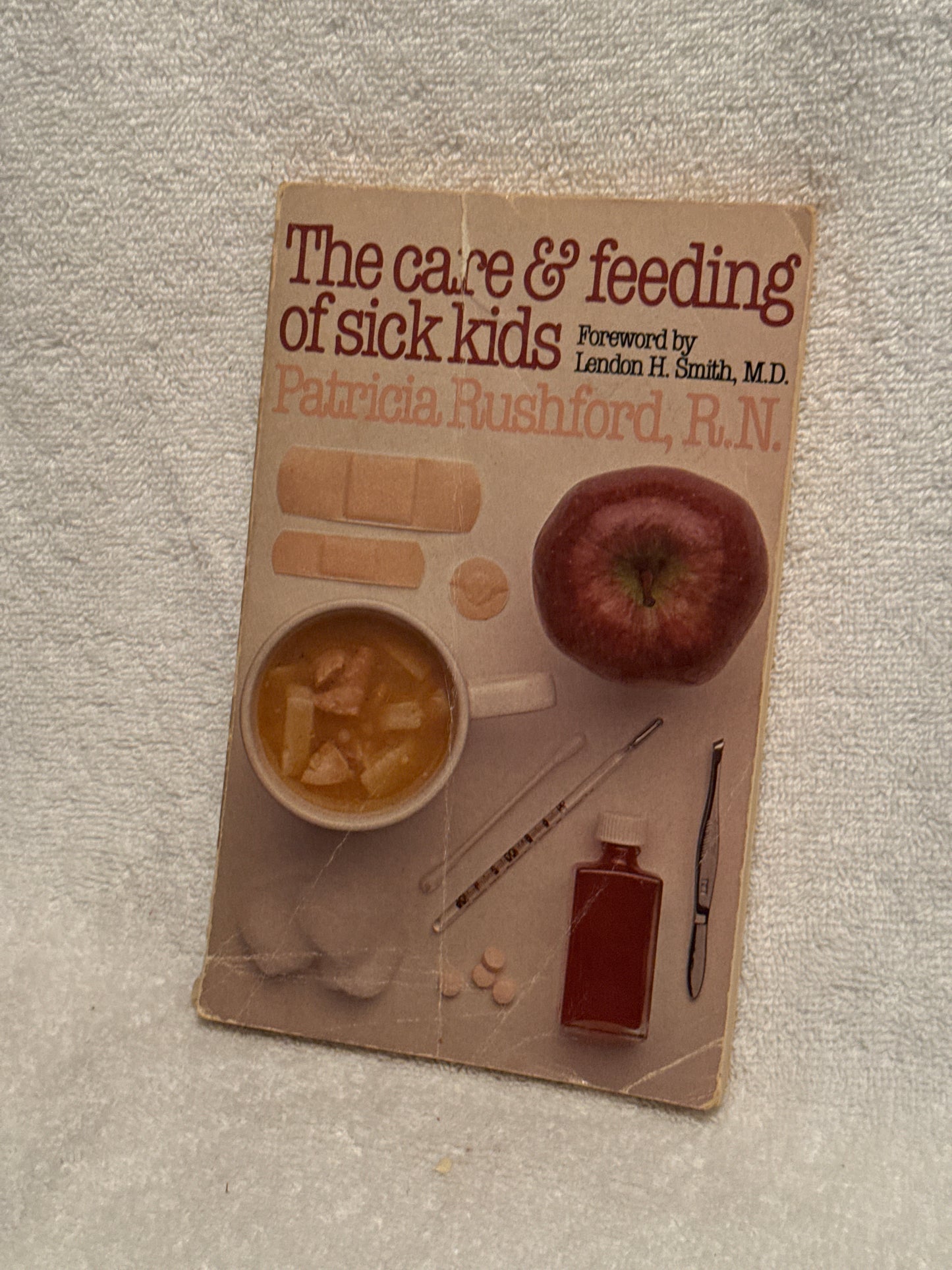 The Care & Feeding of Sick Kids: Health Book