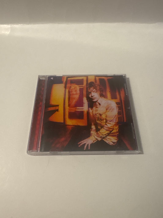 Ritchie kotzen something to say