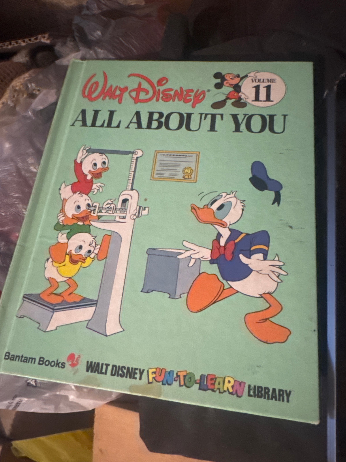Walt Disney Fun-to-Learn Library Volume 11: All About You (Hardcover)