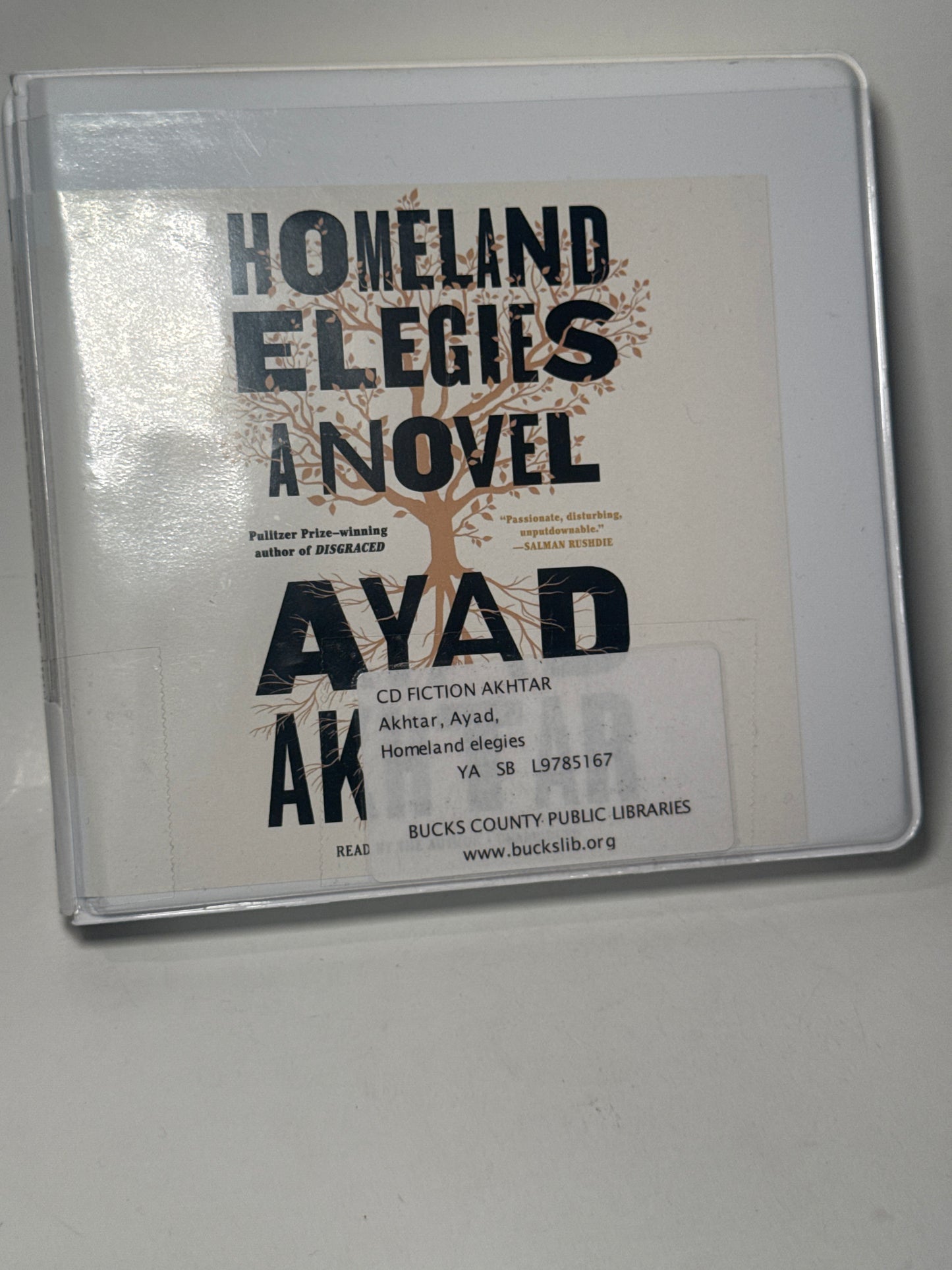 Homeland allies, ayad akhtar￼