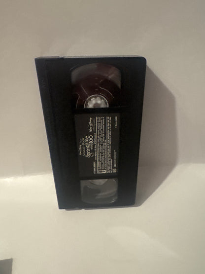 Winnie the Pooh Springtime With Roo Disney 2004 vhs