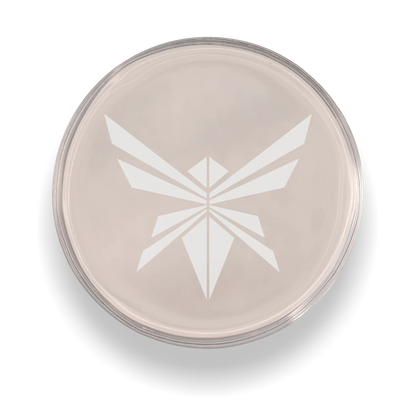 <h1>Custom Golf Ball Markers - Metal</h1>