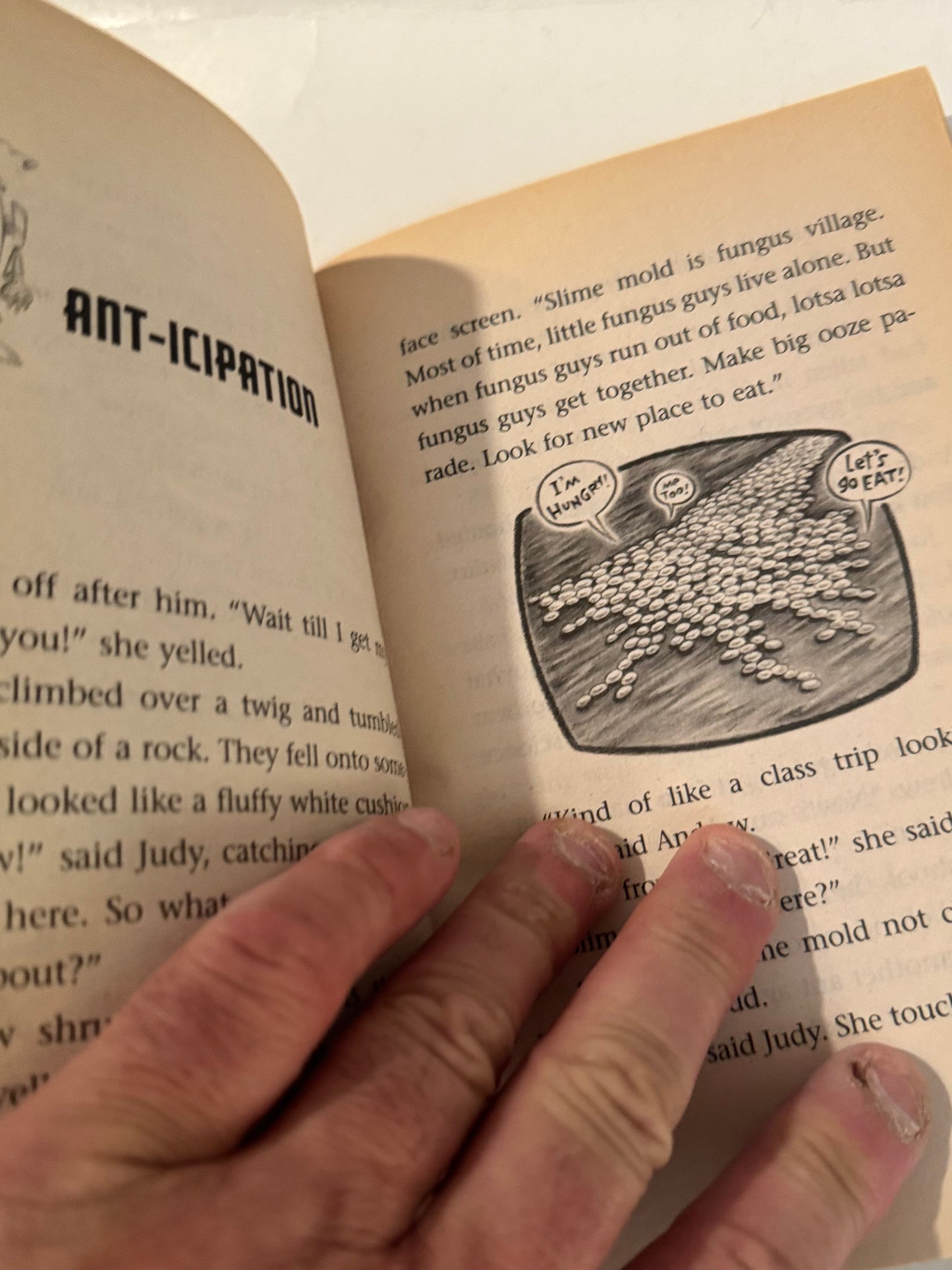 Andrew Lost in the Garden – J.C. Greenburg Kids Book