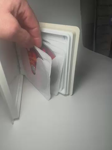 An anonymous girl novel