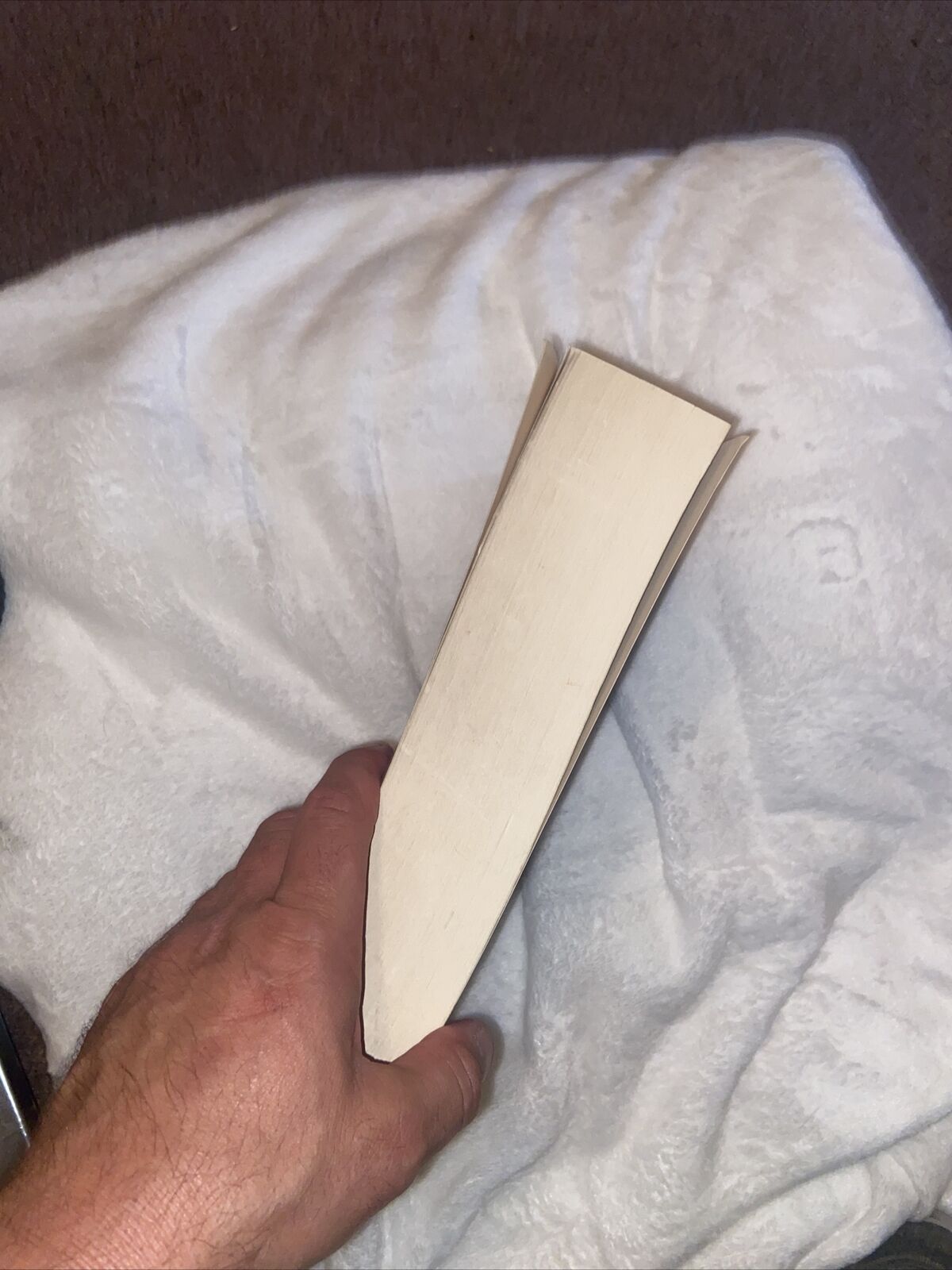 Richard P. McBrien Paperback catholicism
