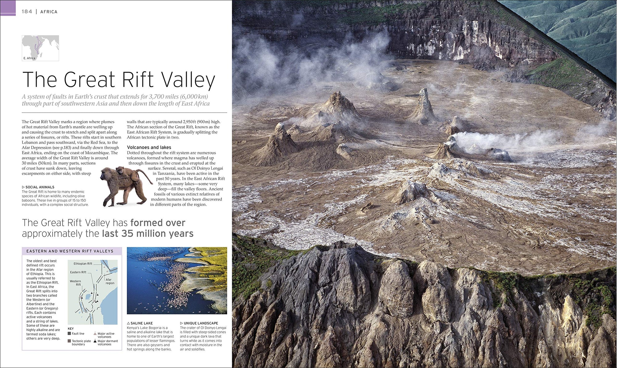 Natural Wonders of the World (DK Wonders of the World) [Hardcover] DK; Packham, Chris and Smithsonian Institution